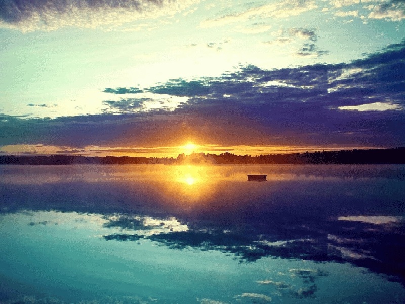 李先生夫妇成功案例